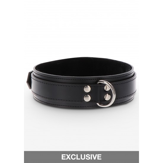 Heavy D-Ring Collar Heavy D-Ring Collar