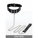Elegant Collar and Chain Leash
