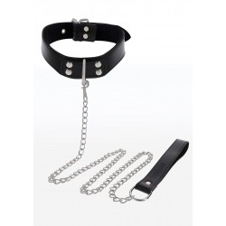 Elegant Collar and Chain Leash