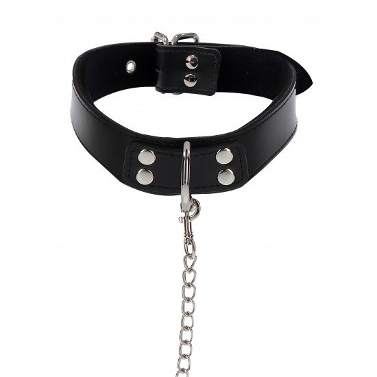 Elegant Collar and Chain Leash