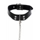 Elegant Collar and Chain Leash