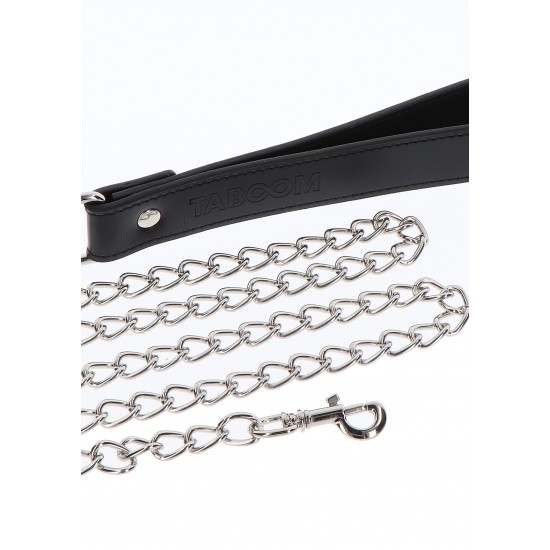 Elegant Collar and Chain Leash