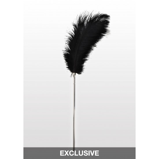 Feather Tickler