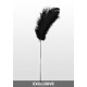 Feather Tickler