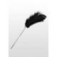Feather Tickler