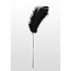 Feather Tickler