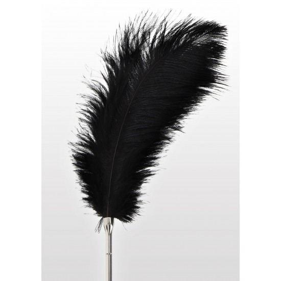 Feather Tickler