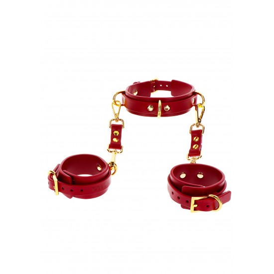 D-Ring Collar and Wrist Cuffs D-Ring Collar and Wrist Cuffs