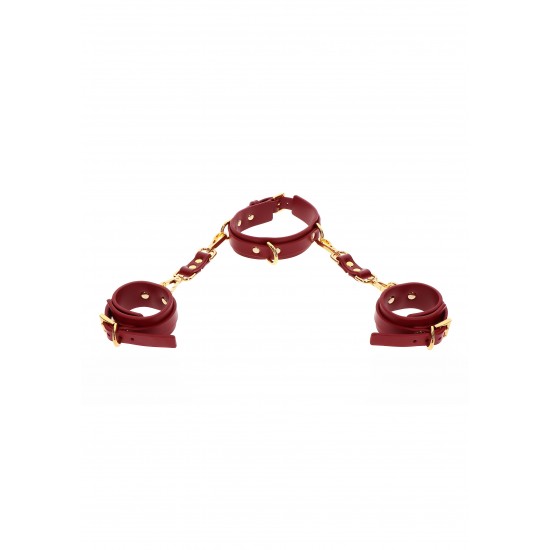 D-Ring Collar and Wrist Cuffs D-Ring Collar and Wrist Cuffs