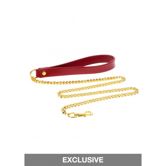 Chain Leash