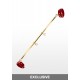Spreader Bar with Ankle Cuffs