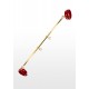 Spreader Bar with Ankle Cuffs