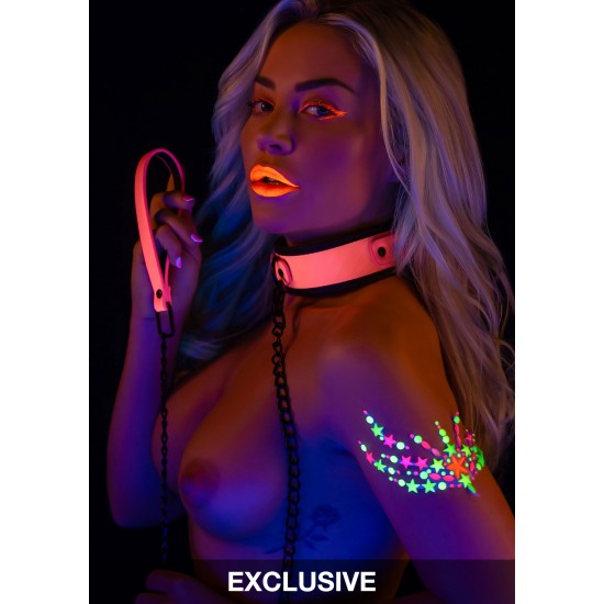 Collar and Chain Leash