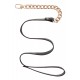 Statement Leash