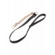 Statement Leash