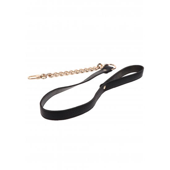 Statement Leash