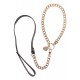 Statement Collar and leash