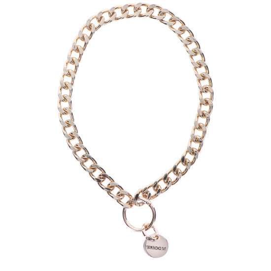 Statement Collar and leash