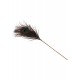 Peacock Tickler