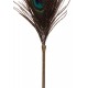 Peacock Tickler