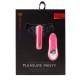 Remote Control Pleasure Panty