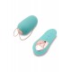 Remote Control Petite Egg