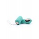 Remote Control Petite Egg