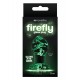 Firefly Glass Plug - S Firefly Glass Plug - S