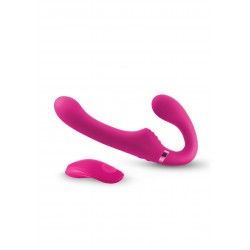 ShiShi Midnight Rider