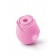 INYA The Rose