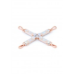 Cosmo Bondage Hogtie