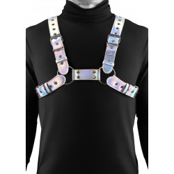 Cosmo Harness Rogue