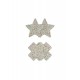 Pasties Star & Cross  2 Pair