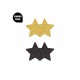 Pasties Glitter Stars 2 Pair