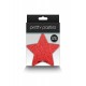 Pasties Glitter Stars 2 Pair