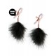 Nipple Clamps F1