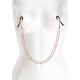 Nipple Clamps DC2 Nipple Clamps DC2