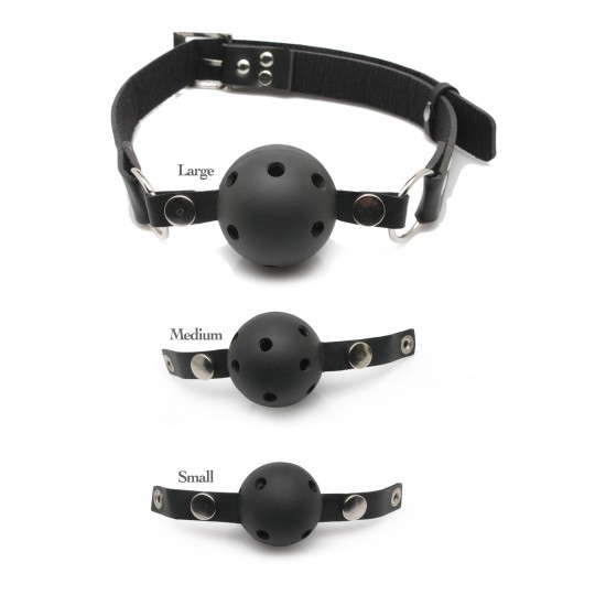 Ball Gag Training System
