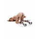 Heavy-Duty Hogtie Kit Heavy-Duty Hogtie Kit