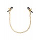 Chain Nipple Clamps Chain Nipple Clamps