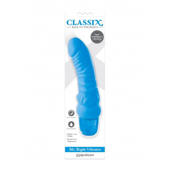 Mr. Right Vibrator Mr. Right Vibrator