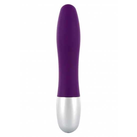 Discretion Probe Vibrator Discretion Probe Vibrator