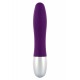 Discretion Probe Vibrator Discretion Probe Vibrator