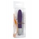 Discretion Probe Vibrator Discretion Probe Vibrator