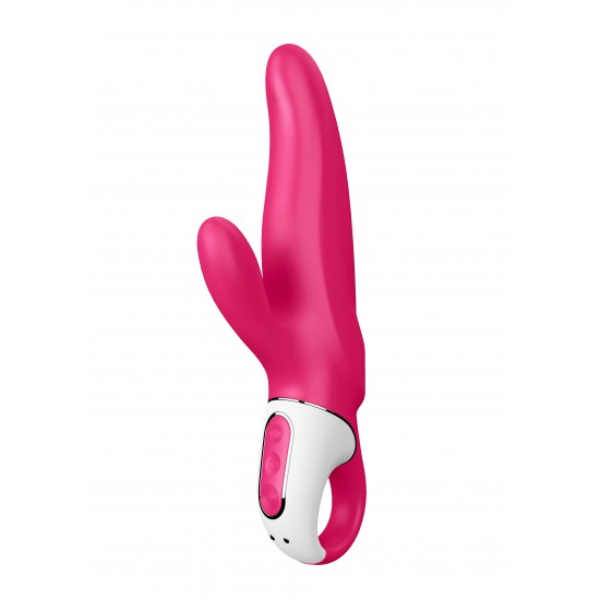 Mr. Rabbit
