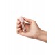 Le Wand Bullet