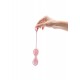 Le Wand Crystal Yoni Eggs