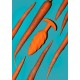 B-Vibe Swirl Texture Plug