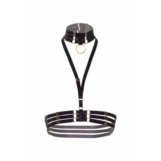 Halter Harness + O-Ring Collar Halter Harness + O-Ring Collar