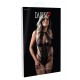 Floral Lace Teddy
